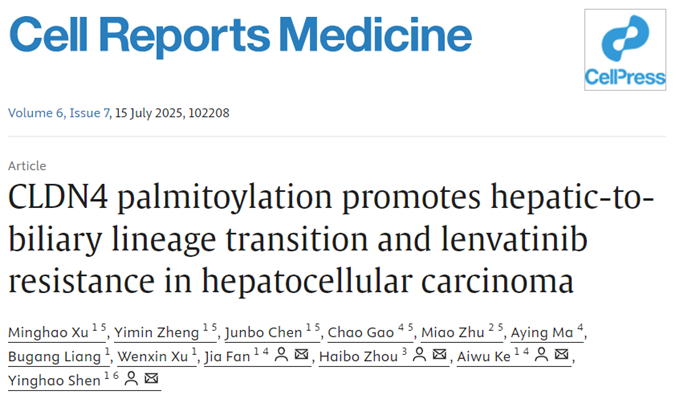 从单细胞量化到空间解析：Tissue Cytometry技术赋能肝癌胆管样转化与耐药关联研究，为精准治疗提供新依据