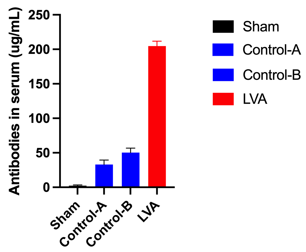 免疫佐剂：抗体制备与疫苗研发中的关键助力
