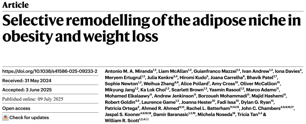 芯空一号快讯 | 脂肪记得你胖过！Nature文章揭示：炎症、压力、衰老，一切都藏在脂肪里