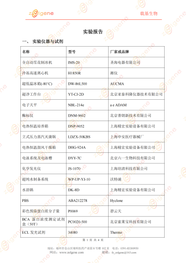 蛋白免疫印迹实验（WB）