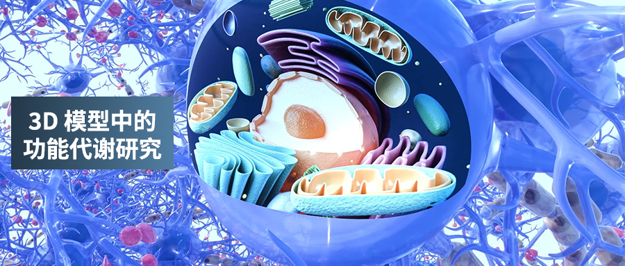 安捷伦 Seahorse XF Flex 分析仪为体外组织样品和类器官等3D模型功能代谢研究提供优化工作流程