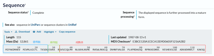 WB实验总出现神秘多条带？背后隐藏着蛋白质加工的精密旅程！