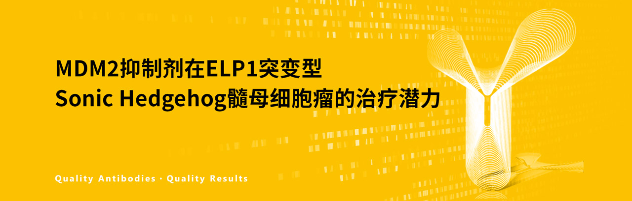 MDM2抑制剂在ELP1突变型Sonic Hedgehog髓母细胞瘤的治疗潜力