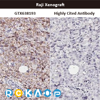 2025年末狂欢大放送，购买GeneTex抗体、京东礼品卡送给您