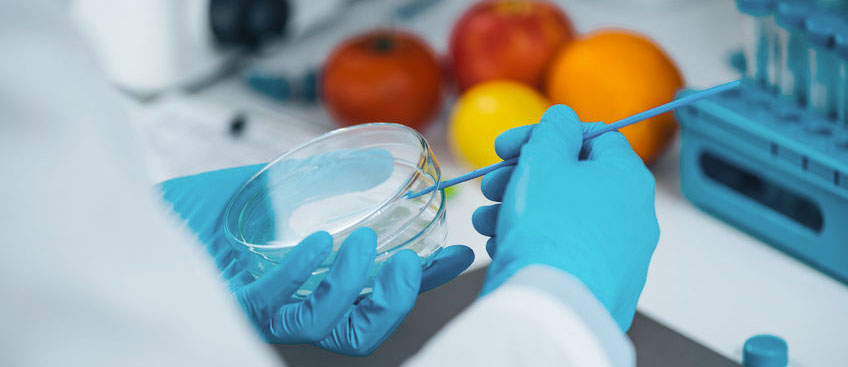 “塑”命非宿命 | 属于未来的生物可降解材料