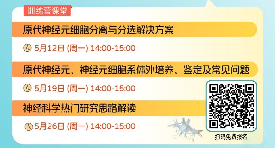 巨噬细胞培养攻略