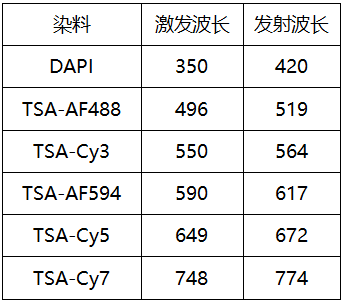 多色免疫荧光试剂盒