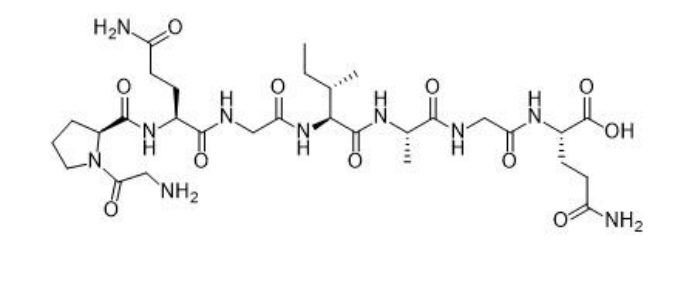 MMP 酶响序列 GPQGIAGQ (Gly-Pro-Gln