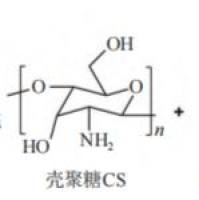 甘露糖修饰负载牛血清白蛋白的壳聚糖纳米颗粒被pH响应性聚合物Eudragit S100包裹 BSA@Man-CS NPs@Eudragit S100
