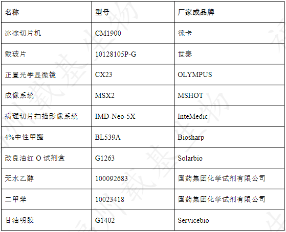 油红o(切片)染色