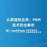 从原理到应用：PRM技术的全解析