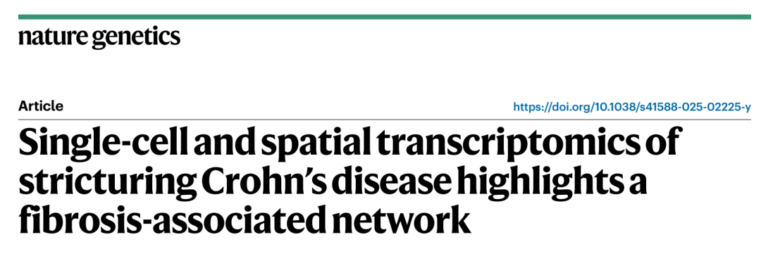 芯空一号快讯 | 单细胞与空间转录组联合揭示克罗恩病狭窄型肠道纤维化的细胞网络