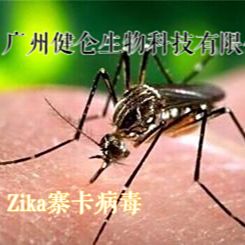 CDC专用寨卡病毒ZIKA-IgG抗体ELISA试剂盒说明书