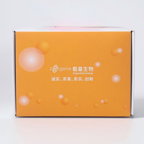 外泌体提取试剂盒