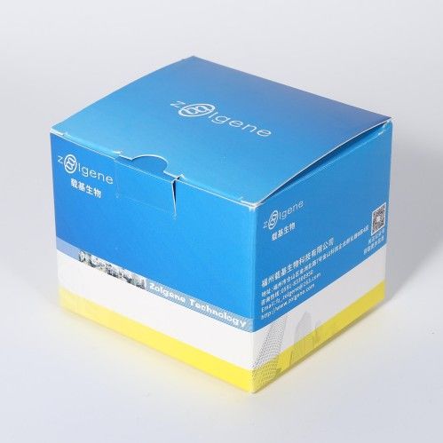 外泌体染色试剂盒