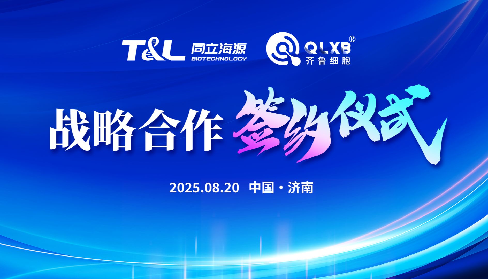 【突破工艺壁垒】同立海源定制培养基助力齐鲁细胞实现干细胞3D规模化量产！