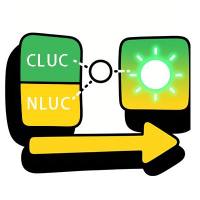 分裂荧光素酶互补实验(LCA)