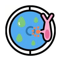 蛋白乳酸化检测