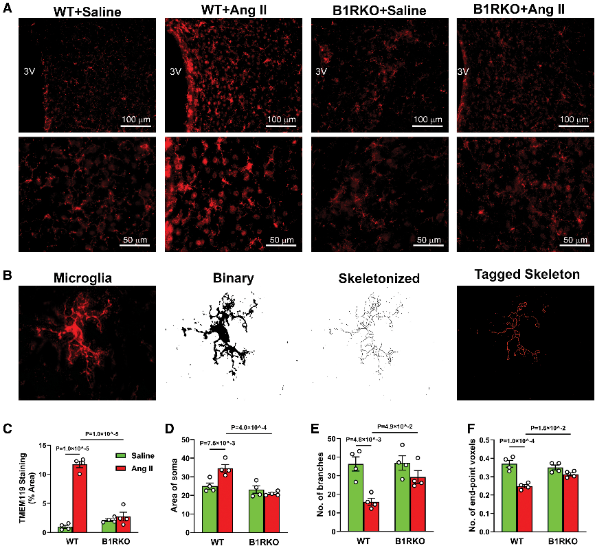 6389173432122297385974424