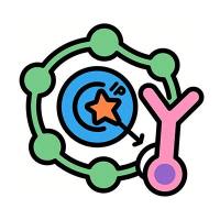 蛋白泛素化检测