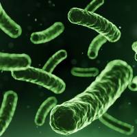 新型修饰胆汁酸