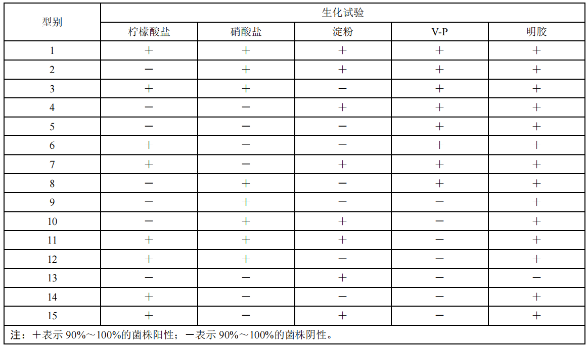 新闻图片11