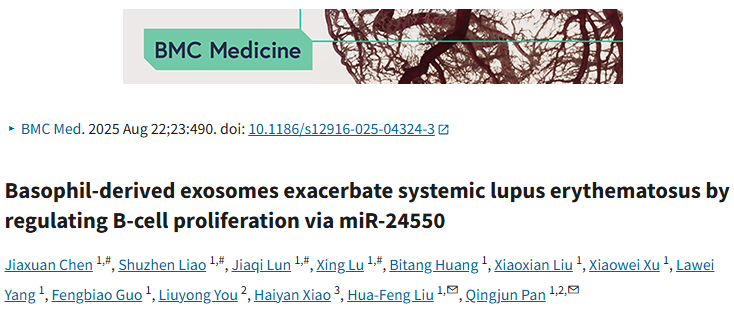 8+论文揭示外泌体关键作用！嗜碱性粒细胞来源外泌体如何“搅乱”系统性红斑狼疮？