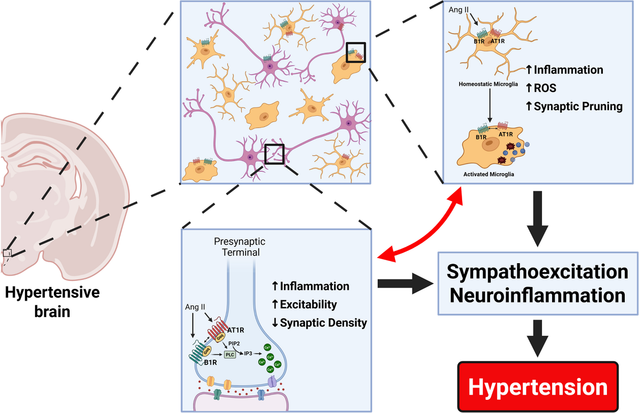 6389173384137679884300600