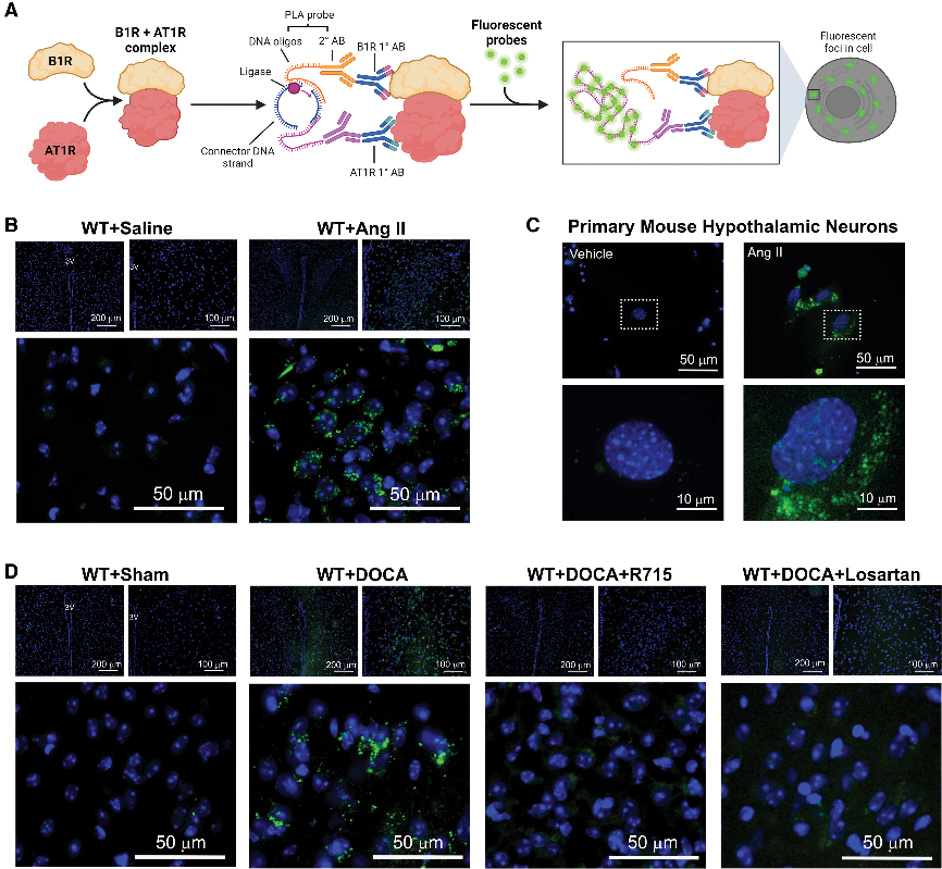 6389173428010149473628764