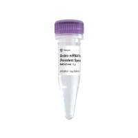 Ribo-clean Globin mRNA Depletion Probe Mega (Prevalent Species）（RN418-01/02/03）