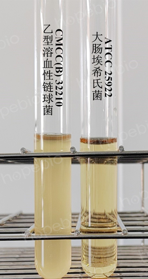 改良胰蛋白胨大豆肉汤培养基的原理和使用方法