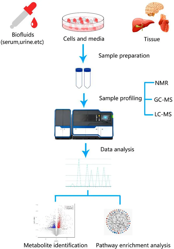 untargeted-metabolomics-7