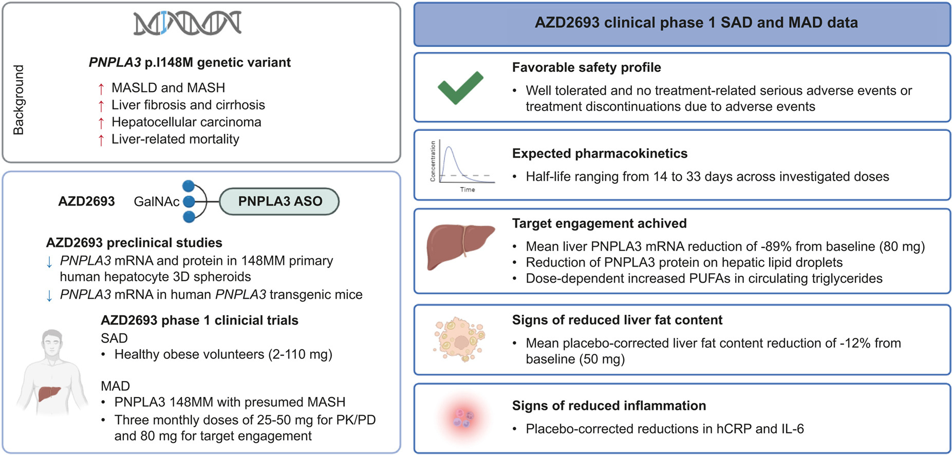 PNPLA3：MASLD/MASH明星靶点的下一站机会