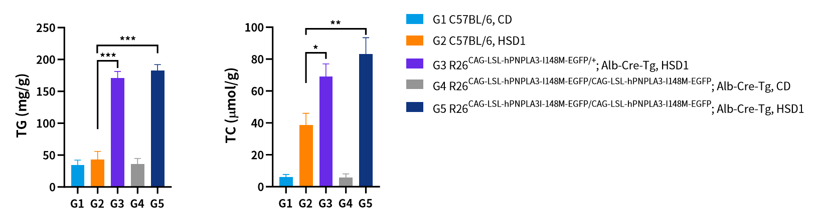 PNPLA3：MASLD/MASH明星靶点的下一站机会