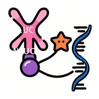 Me-RIP甲基化免疫共沉淀