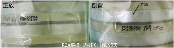 即用型平板出水情况探究