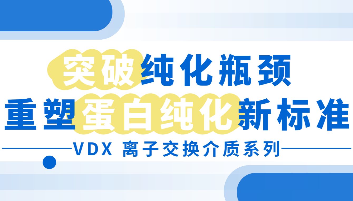 突破纯化瓶颈，重塑蛋白纯化新标准
