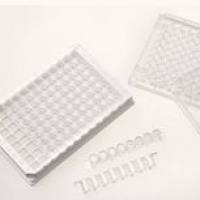 透明96孔酶标板