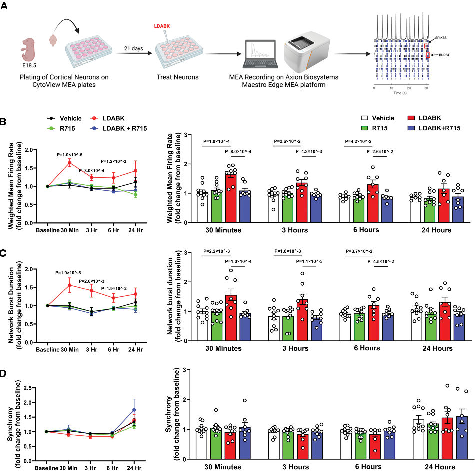 6389173430649699868056259