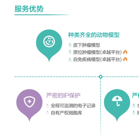 动物疾病模型构建-雏田