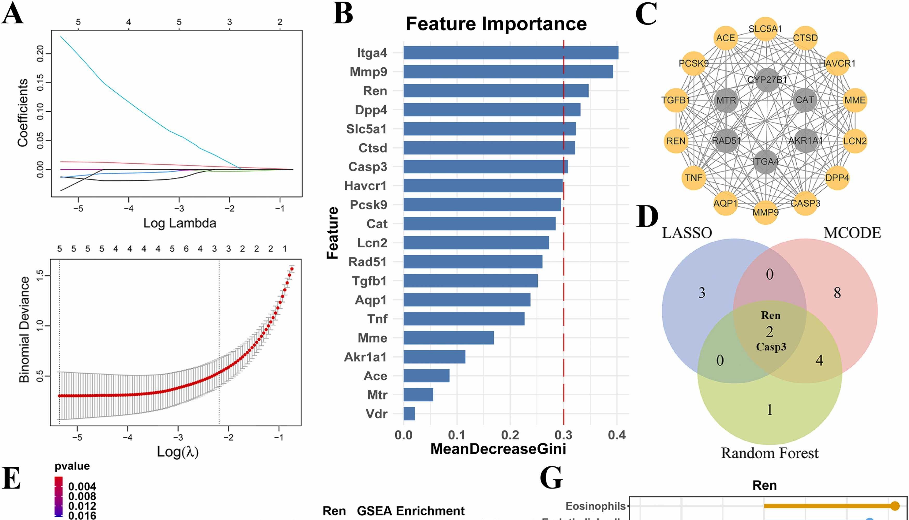 IF:6.1，网络毒理学+机器学习揭示三聚氰胺和氰尿酸共暴露致肾损伤机制！
