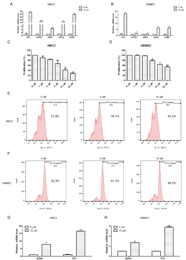 6389190383582709214055952