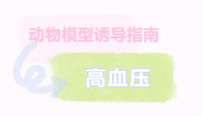 动物模型诱导指南——高血压