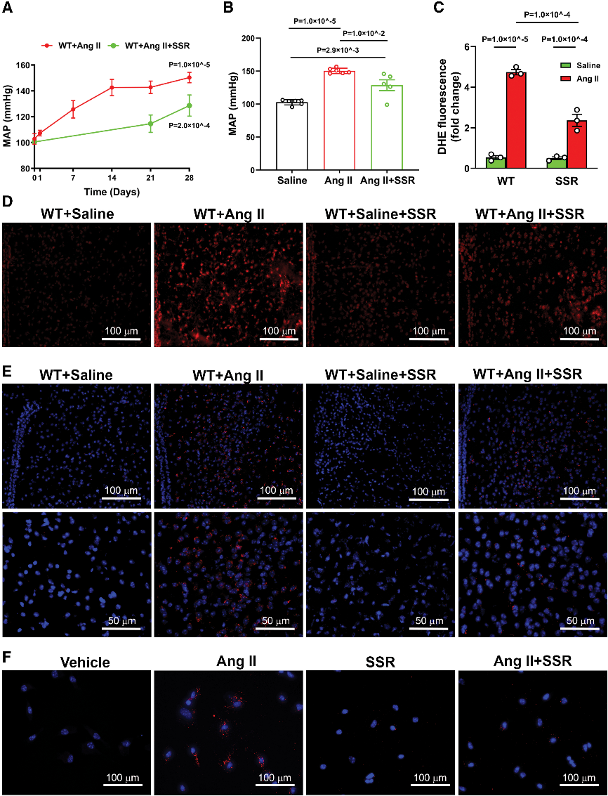 6389173437366524536956583