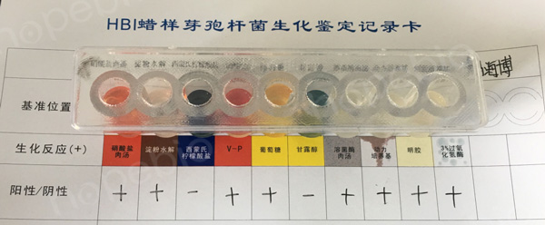 新闻图片13