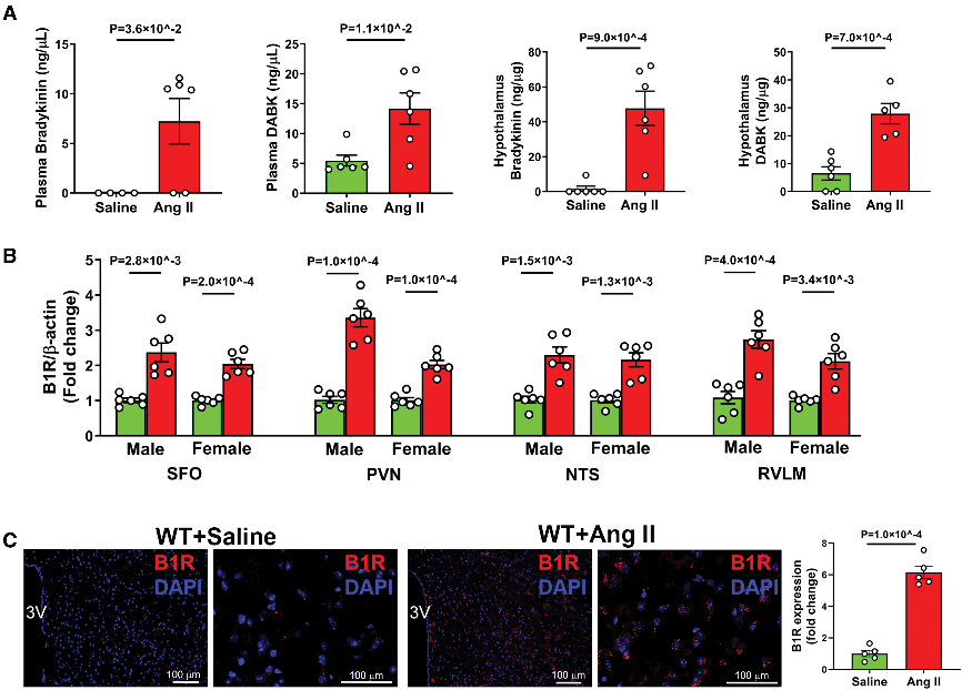 6389173401456484046718463