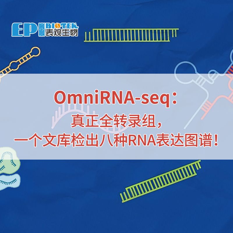 OmniRNA-seq：真正全转录组，一个文库检出八种RNA表达图谱！