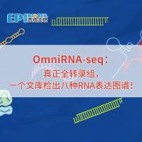 OmniRNA-seq：真正全转录组，一个文库检出八种RNA表达图谱！