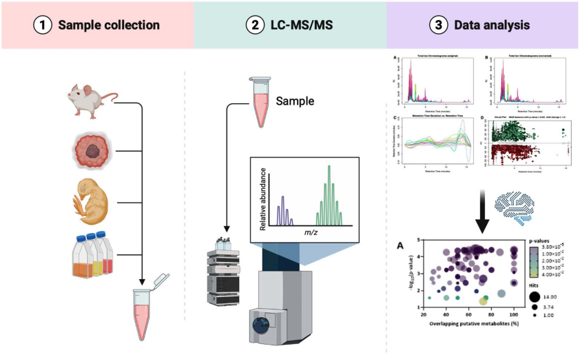 untargeted-metabolomics-6