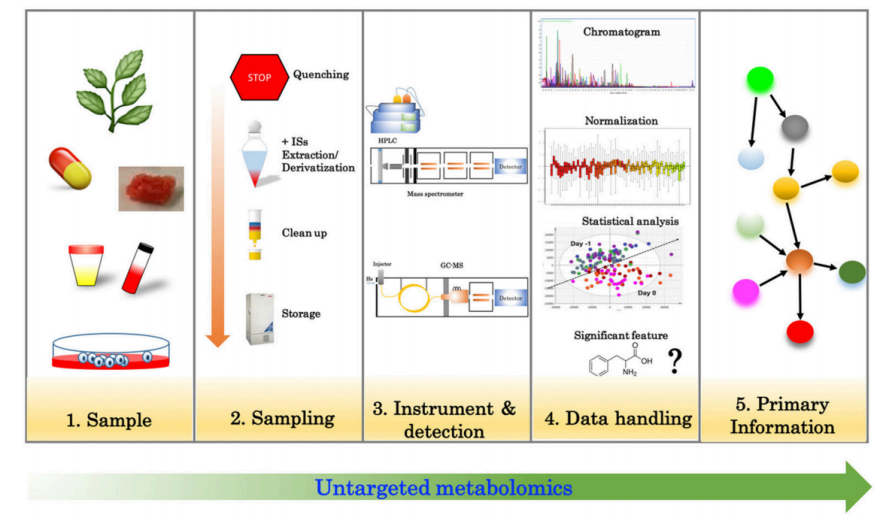 untargeted-metabolomics-1